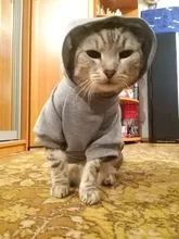 Cat Clothes Pet Cat Coats Jacket Hoodies For Cats Outfit Warm Pet Clothing Rabbit Animals