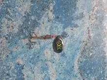 Big Crank Bait Minnow Wobbler Fishing-Lure Artificial-Bait Bass-Trolling Pike-Carp 1pcs