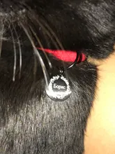 Dog-Id-Tags Puppy-Tag Pet-Collar-Tags Engraved Dog-Lovers Personalized Anti-Lost 