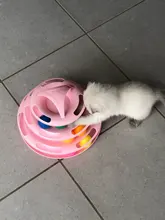 Ball Cat-Toys Play Cat Intelligence Tower-Tracks-Disc Training Amusement-Plate