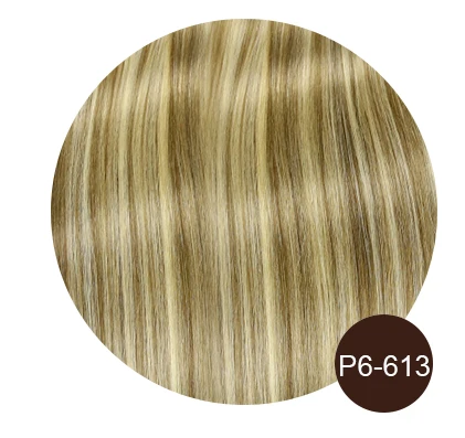 P6/613