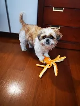 Dog-Squeakers-Toy Sounder Octopus Dogs Stuffed Frenchbull Soft Big-Sized Middle 8-Legs
