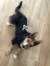 Pet Dog Clothes Fashion Hoodie Spring and Summer For Dogs Coat Jacket Cotton Ropa Perro