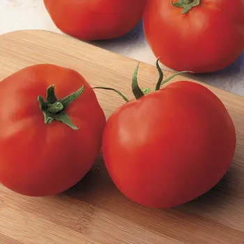 

Seeds tomato gin 0.5gr