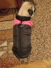 Vest Jacket Pets-Clothing Pug-Coat Puppy Dogs French Bulldog Waterproof Small Winter