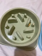 Bowl Food-Plate Slow-Feeder Anti-Choking Pet-Dog Puppy-Cat-Eating Plastic New