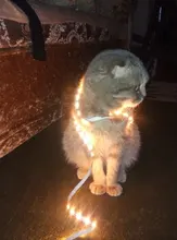 Tira de luces LED con Sensor de movimiento para cocina y habitación, interruptor USB de luz nocturna con Sensor de barrido manual, CC de 5V, SMD 2835