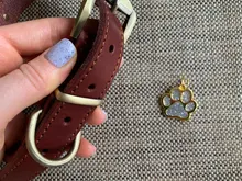 Leash-Set Lead Pet-Collars Dogs Pitbull Small Walking Real-Leather Personalized And 