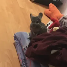 Kit completo de máquinas de tatuaje, pistola de tinta negra, fuente de alimentación, agarres, herramientas de arte corporal, conjunto de tatuaje, maquillaje permanente