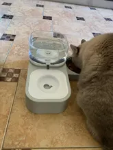 Alimentador automático de mascotas, para perros y gatos, depósito de comida de 2.2L y de agua de 528ml, suministro lento de comida