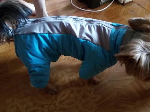 Waterproof Dog Snowsuit | Small Dog Snowsuit | Puppy Snowsuit | Dog Winter Snowsuit photo review