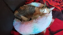 Cama de Gato supersuave, 14 colores, redonda, mullidas de gato, cesta para dormir, larga felpa, cálida, alfombrilla para mascotas, perrera ligera de tacto cómodo