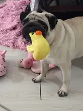 Pet-Toys Dog-Supplies Cat Plush Mini Cartoon Funny Legendog Bite-Resistant