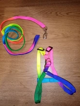 Harness Leash Traction Rope Lead Pet-Dog-Collar Rainbow Colorful Durable Nylon And 120cm