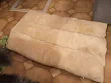 Benepaw Thick Pet Beds For Dogs Washable Soft Medium Large Big Dog Bed House Removable