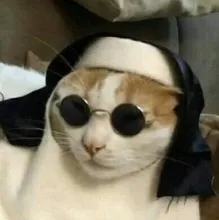 I***v