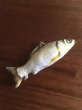 Pet Soft Plush Creative 3D Carp Fish Shape Cat Toy Gifts Catnip Fish Stuffed Pillow Doll