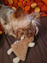 Anillo de papel de perro de juguete con chirrido para perros pequeños Chihuahua Limpieza de dientes de perro juguetes para mascotas accesorios para perros zabawki dla psa