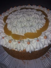 Medias de terciopelo de retales para niña, medias de baile para bebé, medias de colores combinados para niña de 3 a 12 años