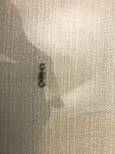 Bolas giratorias de pesca, rodamiento giratorio con anillos de presión de seguridad, accesorios de pesca de carpa, 50 unids/lote