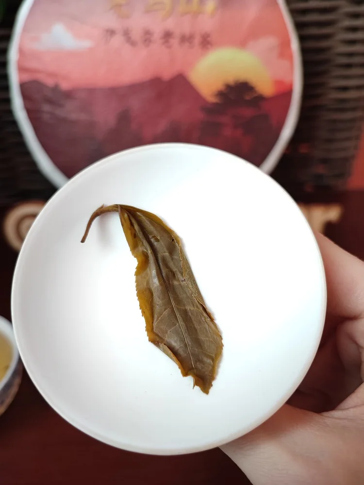Рисунок 6 - Tea Puer Tea Lao Shu Sheng Puer