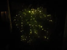 Fairy-Light Fence Led-String Tree Solar Outdoor Garden 200LED ECLH 2mx10 Vines-Branch