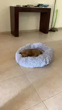 Donut-cama para perro, cojín cálido y largo para mascota de peluche, para casa de perro grande, cama calmante para gato, estera de sofá lavable para mascotas, saco de dormir de gato