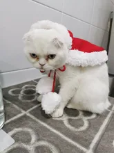 Pet Dog Cat Costume Christmas Antlers Hat Cloak Halloween Disguise Clothes For Cats Small