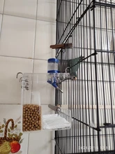 Box Cage Perch-Stand Birds-Supplies Bird-Parrot-Feeder Feeding-Tools Hanging Parrots