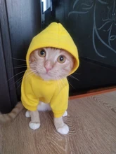 Seguridad ropa para gato mascotas abrigos para gato chaqueta sudaderas con capucha para los gatos traje cálido ropa para mascotas ropa de conejo Animales Mascotas traje para perros 30