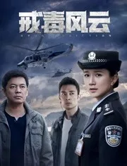 戒毒风云全集观看