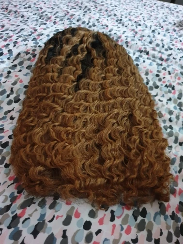 Brazilian Ombre Color Lace Front Human Hair Wig photo review