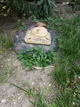 Regalos para alcantarillas recuerdo de gato piedras con un 3-D gato durmiendo en la parte superior de impresión de la pata piedra Memorial para mascotas tumba marcadores jardín de piedras