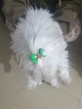 Bows Dog Hair-Bow Grooming Christmas-Dog Elastic-Rubber Cat Pet 10pcs 