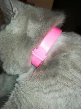 Pet-Collar Necklace Repel Flea Pest-Control-Protect Killer Adjustable for And Rubber