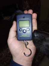 40kg x 10g Mini báscula Digital para pesca equipaje viaje ponderación Steelyard colgando Balanza de gancho electrónica, herramienta de peso de cocina