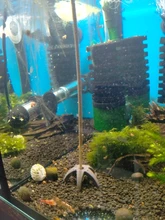 Aquarium-Decoration SHELTER-HOUSE Fish-Tank-Decor Simulation-Stone Fish-Shrimps Ceramic