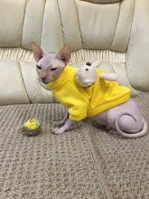 Sweater Jersey Pet-Dog-Clothes Yorkies Small Dogs Winter Dog Chihuahua Teddy Spring New