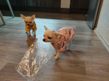 Traje para perros con estampado de animales, abrigo suave de algodón para mascotas, Jersey, camisa, chaqueta, suéter, ropa para mascotas