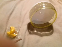 Toys-Supplies Hamster Mute-Wheel Silent Pig Dutch The