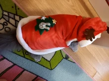 Ropa navideña para gatos pequeños, disfraz de Papá Noel, gatito, cachorro, Sudadera con capucha, ropa cálida para perros y mascotas, accesorios de ropa