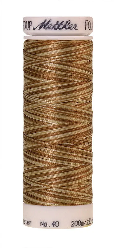 Нить для вышивания мультиколор POLY SHEEN MULTI METTLER, цвет 9926, 200 м