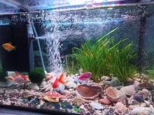 Luz de acuario LED resistente al agua, lámpara sumergible para plantas acuáticas, decoración acuática con Clip