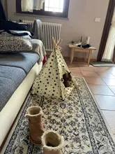 Tipi de Gato con cojín y pizarra para perros, carpa portátil para perros y casas de mascotas, tienda plegable de lona de madera para mascotas, cama para animales pequeños