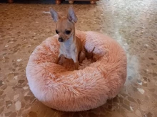 Cat Bed Bench Pet-Bed Chihuahua Kennel Dog-House Large-Mat Round Plush Long for Big Super-Soft