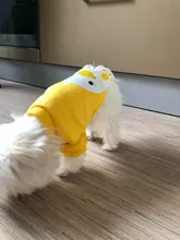 Shirt Costume Vest Cat Outfit Carton Cats Sweet Kitten Autumn/winter for Kedi-Clothing