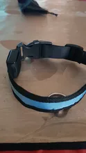 Collar LED para perros y gatos con iluminación de colores fabricada en tejido nylon collar para paseos nocturnos