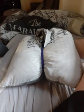 Bridas liberables de plástico de colores para cables, bridas para cables reutilizables de nailon, con cierre, tipo T, 50 Uds.