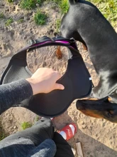 K9 Harnesses For Dogs Customizable Dog Name label Reflective Adjustable Dog Harness Vest