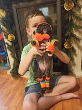 Pet-Puppy-Accessories Socks Hats Cat-Products Dogs-Knitted Small Chihuahua Little Winter